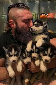 prayers for a sick dachshund puppy