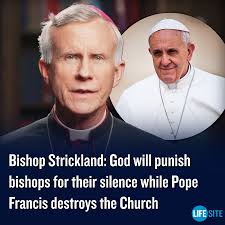Bishop Joseph Strickland strongly rebuked 'silent' US bishops in a powerful  letter outside the USCCB meeting in Baltimore, warning them that God will  punish those who do not speak out against 'false