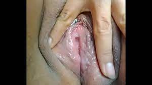 Panocha hermosa - XNXX.COM