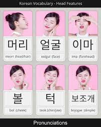 How To Say Head Region Words In Korean Video In 2020 Korean Language Korean Words Learn Korean