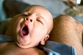 Image result for Yawning
