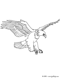 Copia De Halcon Peregrino Para Ninos Buscar Con Google Aguila Real Dibujo Aguila Para Dibujar Aguila Dibujo