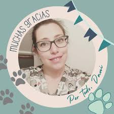 Vetus Medicina Veterinaria