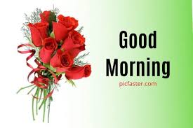 Download and use good morning download wallpaper to make . Latest Good Morning Rose Image Free Download 2021 Daily Wishes