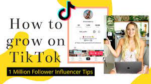 Many artists are wondering how to grow their audience on tiktok. How To Grow On Tiktok In 2021 Tips From A 1 Million Follower Influencer Carinaberry Com