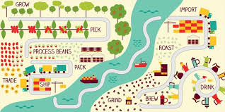 The Life Of A Coffee Bean From Plant To Cup Bipartisan Cafe Coffee Beans Types Of Coffee Beans Beans