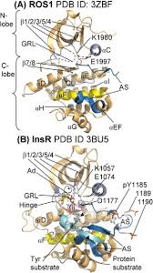 Image result for ROS1 Inhibitor