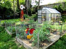 Great Layout Idea For A Small Urban Farm Chicken Coop Instead Of Shed Though Farm Gardens Urban Homesteading Urban Farming