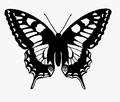 New users enjoy 60% off. Digital Butterfly Clip Art Machaon Butterfly Swallowtail Butterfly Line Drawing Hd Png Download Kindpng
