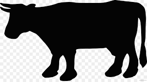 Apakah membuat gambar wajah hitam putih itu mudah? Angus Sapi Sapi Potong Sapi Charolais Gambar Png