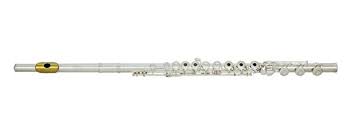 Azumi is a company specialized in producing flutes exceptionally, and that is why we need to put it on the top of our list. 5 Best Professional Flute Reviews 2021 Expert Flute Choice Cmuse