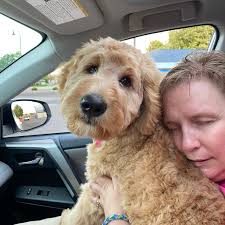 Larry Studt (@lstudt)