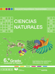 1, 2, 3, 4, 5, 6, 7, 8, 9, 10 grado de básico. Cuaderno De Trabajo De Ciencias Naturales 6Âº