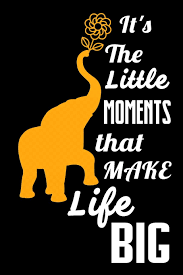 It S The Little Moments That Make Life Big Funny Elephant Gift Notebook Lined Journal Inspirational Quote Amazon Com Br