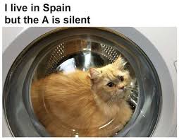 In spain but the s is silent. Dopl3r Com Memes I Live In Spain But The A Is Silent