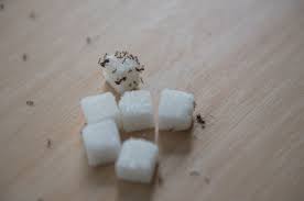 アプリによって更新プログラムが認識されるまで数分かかる場合があります。 スマホ同期アプリがまだ「更新状態」になっている場合は、数分待ってから、android デバイスを再起動してください。 pc で、スマホ同期アプリを閉じてもう一度開きます。 ç°¡åãªã¢ãªéæ²»æ¹æ³6ã¤ éæ¹ãé¢ ã¯ã¨ã³é¸ã¯ å®¤åã«ãå¹ã ãã­ç£ä¿® ã¿ã¹ã¯ã«