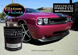 Image result for Furious Fuchsia 2010 Challenger