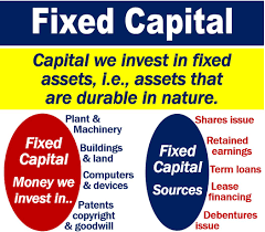 हिन्दी समाचार | hindi news : What Is Fixed Capital Definition And Some Examples
