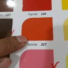 We did not find results for: Cat Minyak Kayu Besi No Brand 08 L Jingga Orange Sunrise 227 Shopee Indonesia