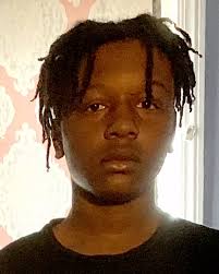 Illinois Lauches New Mobile DMV