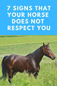 Wondering If You Have Your Horse S Respect Here Are 7 Signs That You Might Still Have Some Work To Do Horsetrainin Horse Behavior Horse Training Horse Facts