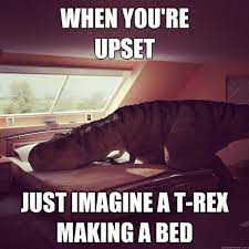 ha ha humor laugh bones funny