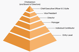 The associate executive director is the head director in the company and his work is to oversee the day to day work that the employees do. Job Titles The Definitive Guide Ongig