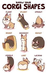 Obsessed With These Corgi Comics Cute Corgi Corgi Facts Cute Corgi Puppy The graphic resource above is about cartoon clipart, cartoon, hand painted apart from the png image file, you can also download the corgi cartoon psd file that. cute corgi