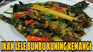 Masakan yng diminati yang dengannya bumbu mangutnya merupakan mangut lele menjdai menu masakan yng ternama di jogja. Ikan Lele Bumbu Kuning Kemangi Makan Enak Youtube