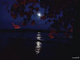 Then the next day, the sun does nothing for me, because i'm the type of person who can look at the clouds and stare out into. Wallpaper Sea Night Water Nature Reflection Sky Calm Moon Evening River Magic Moonlight Atmosphere Serbia Midnight Light Tree Travel Lighting Darkness Rs Computer Wallpaper Astronomical Object Full Moon Celestial Event