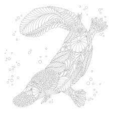 Add bright and brilliant colors to exotic blooms or a parrot's feathers. Millie Marotta S Curious Creatures A Colouring Book Adventure Marotta Millie Amazon De Bucher