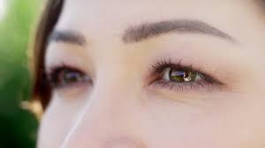 If you're blessed with green eyes, you're best looking for earthy tones and avoiding colours that clash too heavily (green eyes and brown. Brown Hair Woman Green Eyes Stock Video Footage 4k And Hd Video Clips Shutterstock