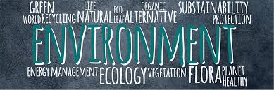 Today, when we look at our surroundings, what we see is buildings, cars causes of environmental disruption. Environmental Protection Iso 9001 2015