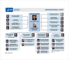 Sample Blank Organizational Chart 16 Documents In Pdf