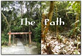 Wildlife that can be spotted in templer's park include monkeys, hawk, serpent eagle, dove, barbet, woodpeckers and various. Kanching Rainforest Waterfall Recreational Forest