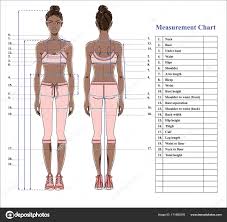 pictures bra size chart woman body measurement chart