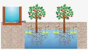 Check spelling or type a new query. The Buried Diffuser Is A Square Or Rectangular Plastic Gravity Irrigation For Citrus Trees Transparent Png 1024x541 Free Download On Nicepng