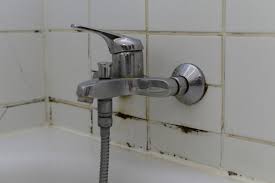 Wenn dann der oberflächliche schimmel entfernt ist, müssten die fugen ausgebessert werden damit die fläche nicht mehr so rissig und rau ist. Schimmel Hinter Den Fliesen In Der Dusche Wie Hoch Ist Der Aufwand Hier