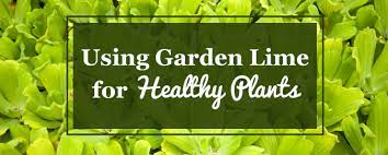 Maybe you would like to learn more about one of these? Using Limestone For Gardens How Much Lime To Add To Soil