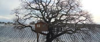 Busca en el corte inglés con una fotografía en lugar de texto. 3 Casas En Los Arboles Y Hoteles Increibles En Italia Ecobnb