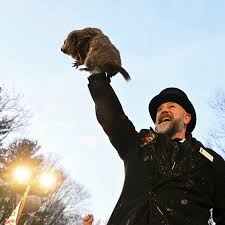 Groundhog Day 2025 photos: Punxsutawney Phil makes prediction