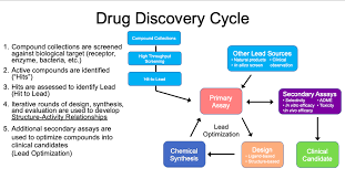 Search for a final exam by subject code. 2 Lead Optimization Sar And Pharmacophores Diagram Quizlet