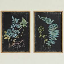 Offer ends tonight at midnight est. Black Framed Fern Botanical Wall Art Set Of 2 Antique Farmhouse