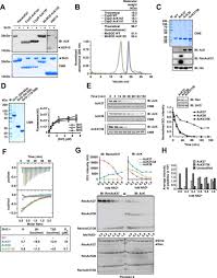 These are known as silent mutations. Blvbq6em3dm6cm