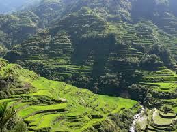 They aimed to build 1,600 towers and now will target for 1,800 towers dito, philippines' 3rd telco player offer a starting price of p799 for 30 mbps internet speed which is way more cheaper and faster than the 2 leading telcos. Dito Forms Tower Sharing Deals Ahead Of Rollout Developing Telecoms