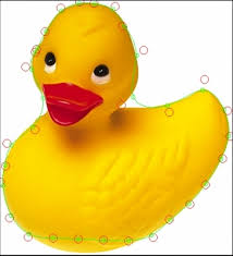 Active Image Contours