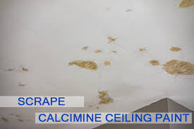 • no need for primer over calcimine coatings. Peeling Ceiling Paint Castle Complements Painting