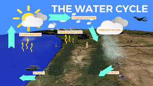 All about the water cycle for kids: Precipitation Education The Water Cycle Koin Com