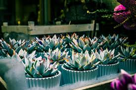 Now offering furnished and unfurnished apartments, this los angeles apartment community offers a. 473 Flower Shop Names Ideas And Suggestions