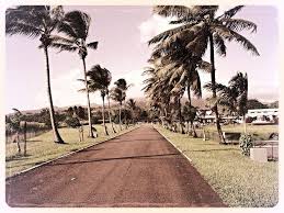 Distillerie Depaz A St Pierre Martinique Madinina Ig Martinique Martiniquefwi Fwi Frenchwestindies Westindies Caraibes Antilles Sidewalk Structures